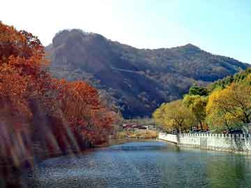 王中王開(kāi)獎(jiǎng)一肖一馬期期準(zhǔn)COM，揭秘彩票背后的秘密，揭秘彩票背后的秘密，王中王開(kāi)獎(jiǎng)一肖一馬期期精準(zhǔn)預(yù)測(cè)內(nèi)幕揭秘