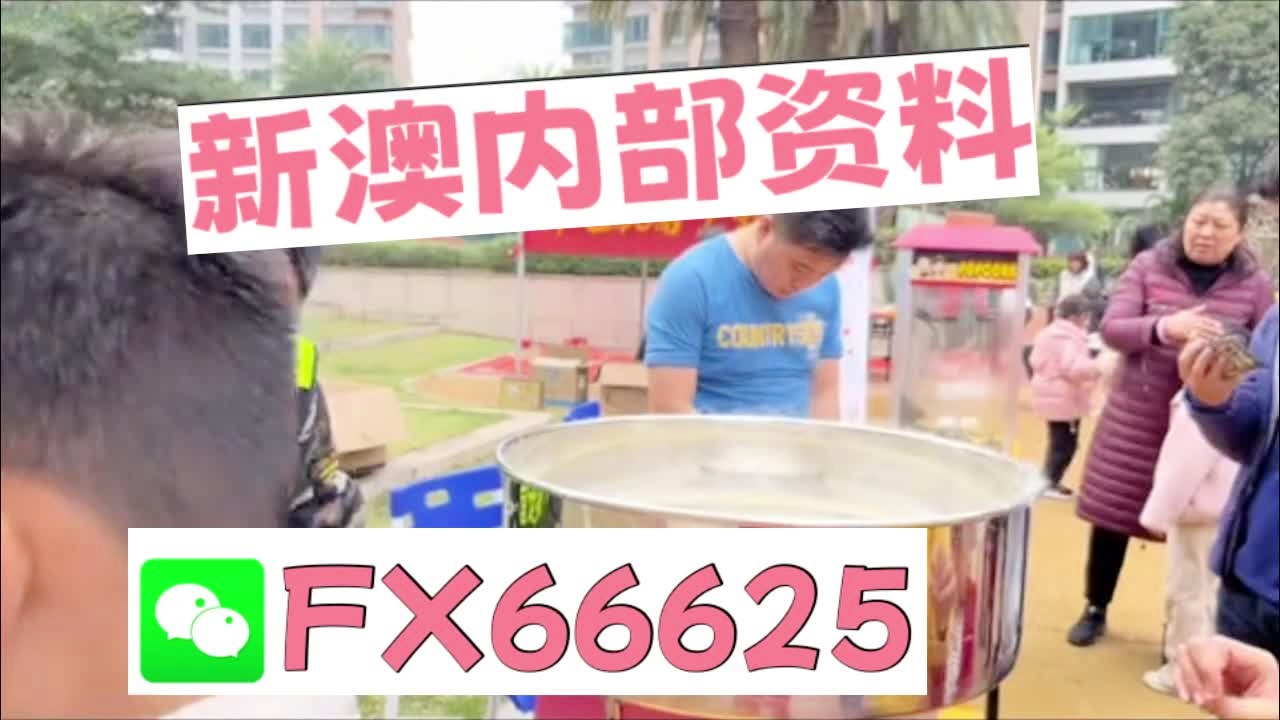 新奧2025正版資料大全，全面解析與深度探索，新奧2025正版資料大全，全面解析與深度探索揭秘