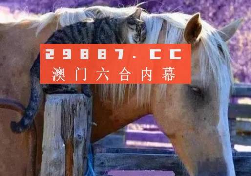 澳門一肖一碼一待一中四不像，探索與解析，澳門一肖一碼一待一中四不像，深度解析與探索