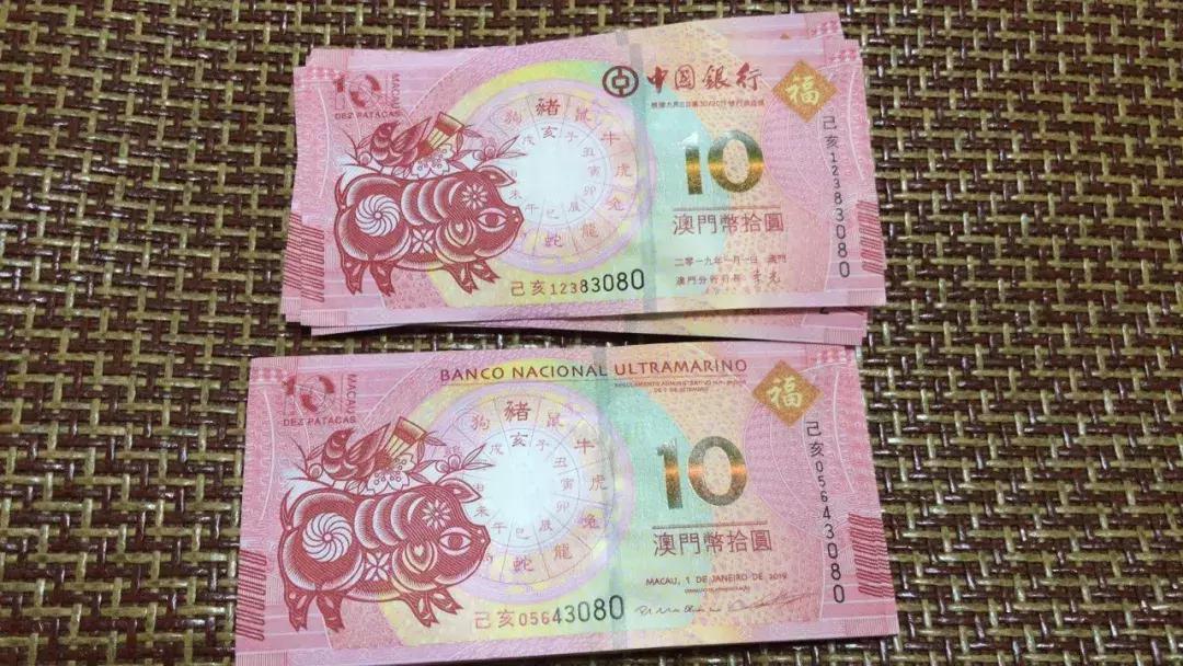 新澳門生肖走勢圖，深度解析與預(yù)測，澳門生肖走勢圖深度解析及預(yù)測報(bào)告