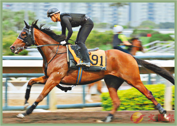 香港賽馬，探索數(shù)字背后的激情與榮耀，香港賽馬，數(shù)字背后的激情與榮耀之旅