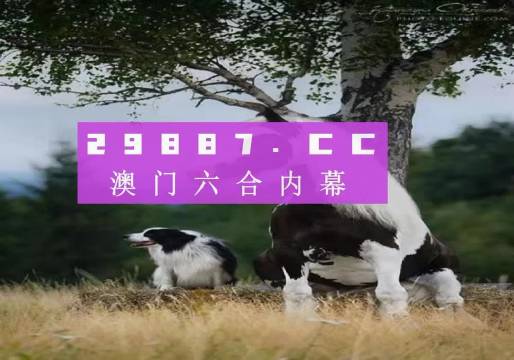 澳門(mén)天天空彩官網(wǎng)資料，探索彩票世界的門(mén)戶，澳門(mén)天天空彩官網(wǎng)資料，彩票世界探索門(mén)戶