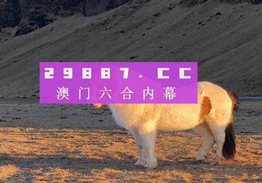 澳門天天彩資料正版免費特色快8，探索彩票世界的魅力與機遇，澳門天天彩正版特色快8，彩票世界的魅力與機遇探索