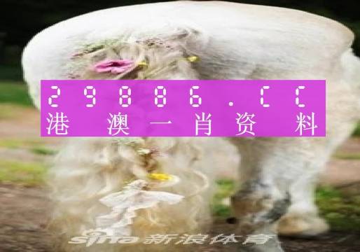 第703頁