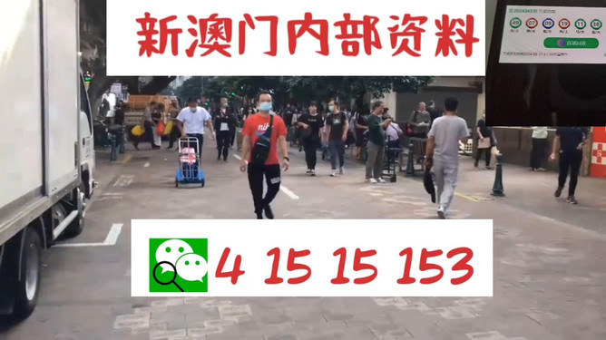 澳門管家婆，揭秘一種獨(dú)特的文化現(xiàn)象與娛樂體驗(yàn)，澳門管家婆，文化現(xiàn)象與娛樂體驗(yàn)的揭秘