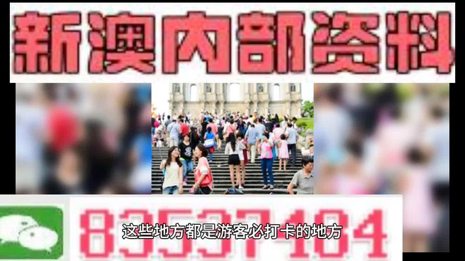 新澳天天開獎資料大全旅游團——探索澳門的魅力之旅，澳門魅力探索之旅，新澳天天開獎資料大全旅游團