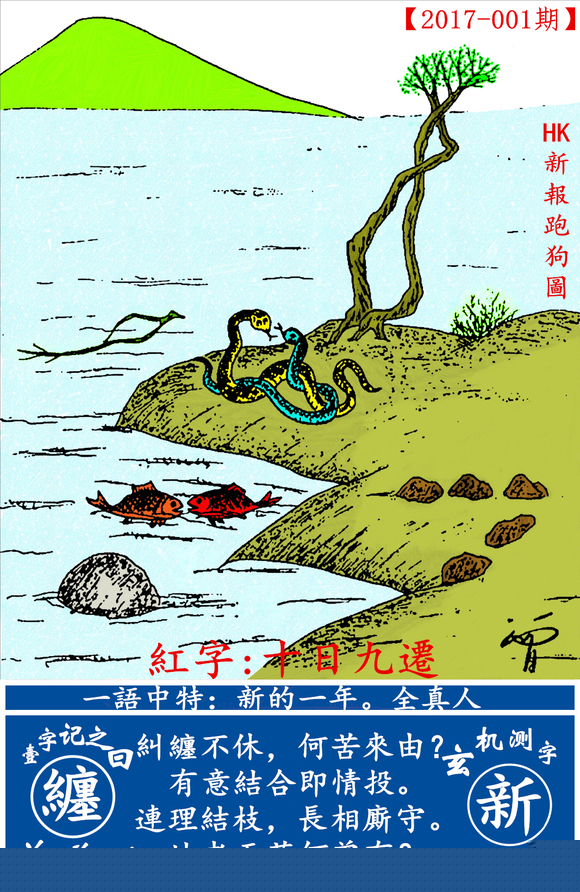 探索全新版跑狗圖，7777788888的魅力與策略，探索全新版跑狗圖，7777788888的魅力與攻略解析
