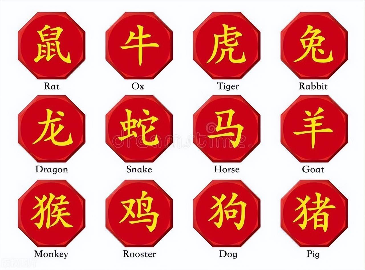 新澳特碼，羊?；⒏鲾?shù)10——揭秘背后的數(shù)字奧秘，揭秘新澳特碼數(shù)字奧秘，羊?；⒏鲾?shù)背后的秘密
