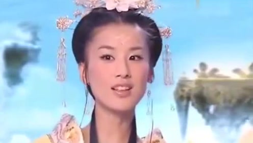 曾道道人資料免費大全，深度探索與解析，曾道道人資料深度解析與免費大全探索