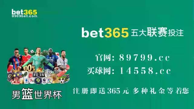 王中王中特馬王中王精準(zhǔn)資料解析與SEO優(yōu)化策略探討，王中王中特馬精準(zhǔn)資料解析與SEO策略探討