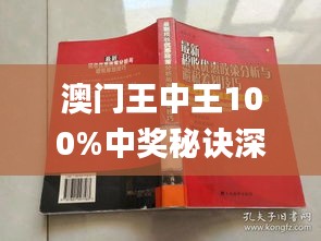 新澳門(mén)王中王期期中，探索與解析，新澳門(mén)王中王期期中，深度探索與解析