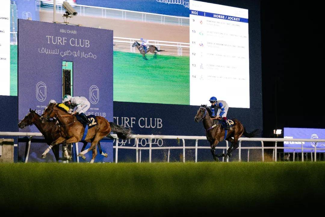 澳門特馬今晚開獎一，探索彩票背后的秘密與期待，澳門特馬今晚開獎，揭秘彩票背后的秘密與期待大獎的激動心情