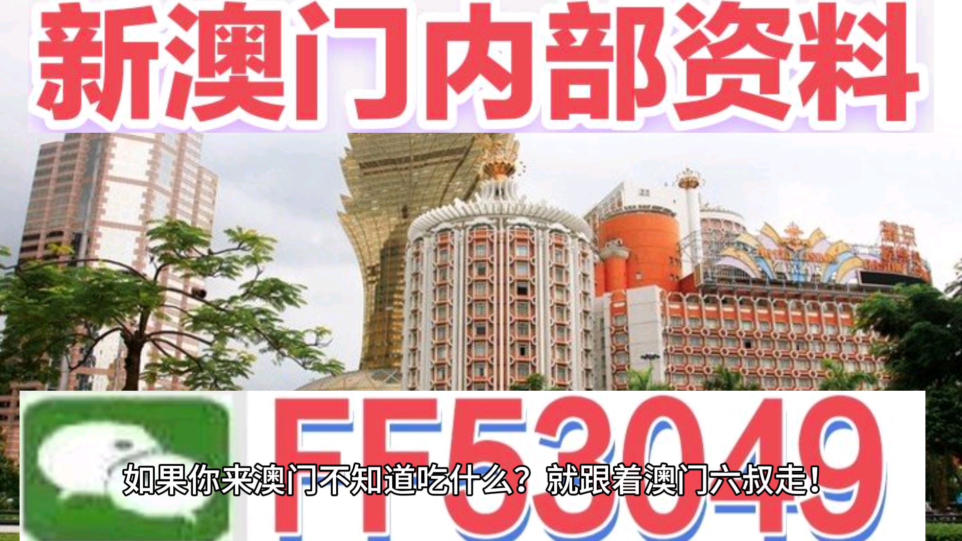 澳門今晚特馬生肖預(yù)測，探尋未來的幸運符號（2025年），澳門生肖預(yù)測揭秘，探尋未來幸運符號（特馬生肖預(yù)測 2025年展望）