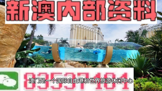 新澳的資料去哪里找——全面指南，新澳資料全攻略，尋找資料的途徑與指南