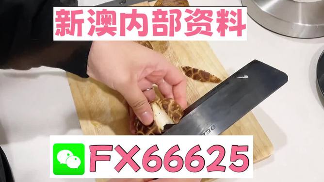 澳門九點半9點半網站——探索其魅力與優(yōu)勢，澳門九點半網站，魅力與優(yōu)勢探索