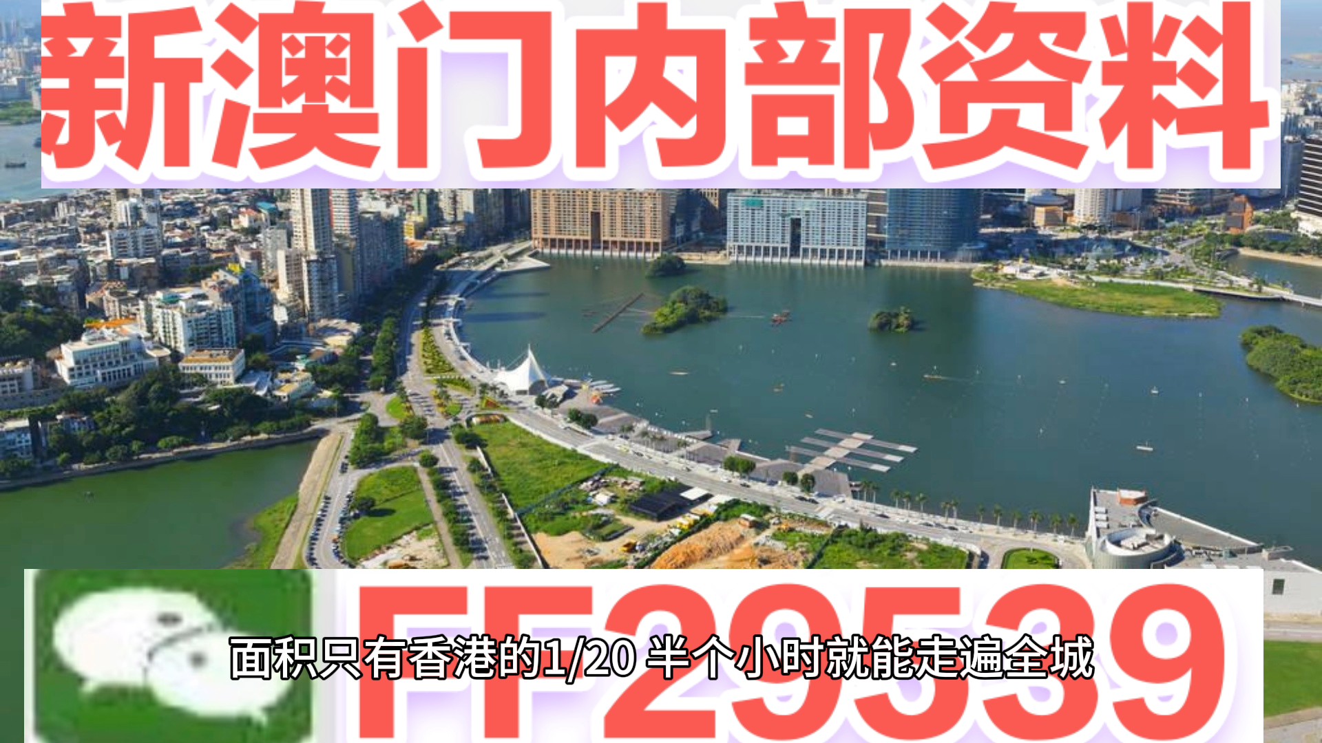 澳門特碼，探索其背后的秘密與魅力，澳門特碼背后的秘密與魅力探索