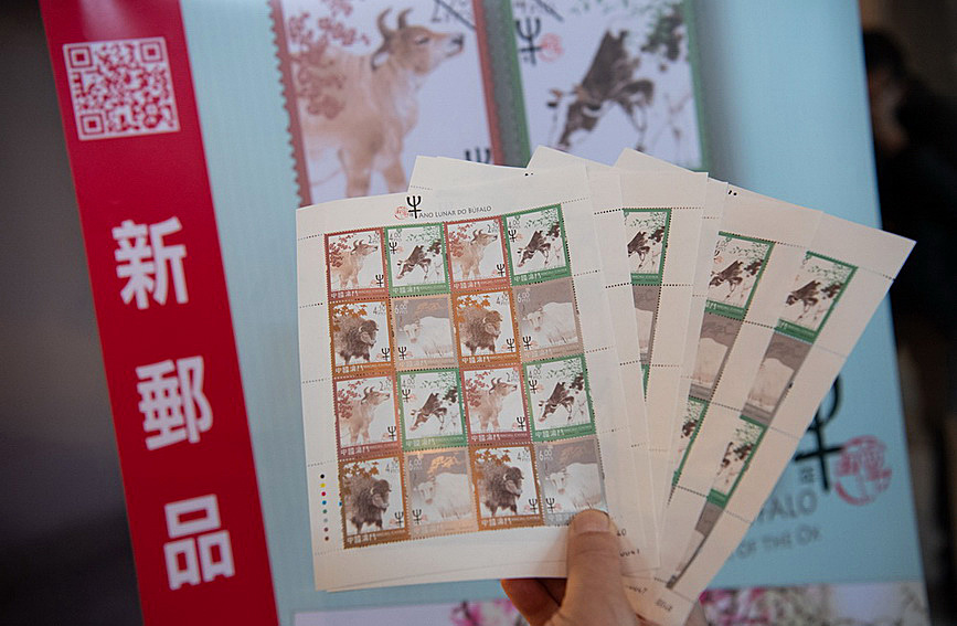 澳門值日生肖600圖庫與八百圖庫開獎(jiǎng)，探索生肖圖庫的魅力與奧秘，澳門生肖圖庫開獎(jiǎng)揭秘，探索值日生肖600圖庫與八百圖庫的魅力與奧秘