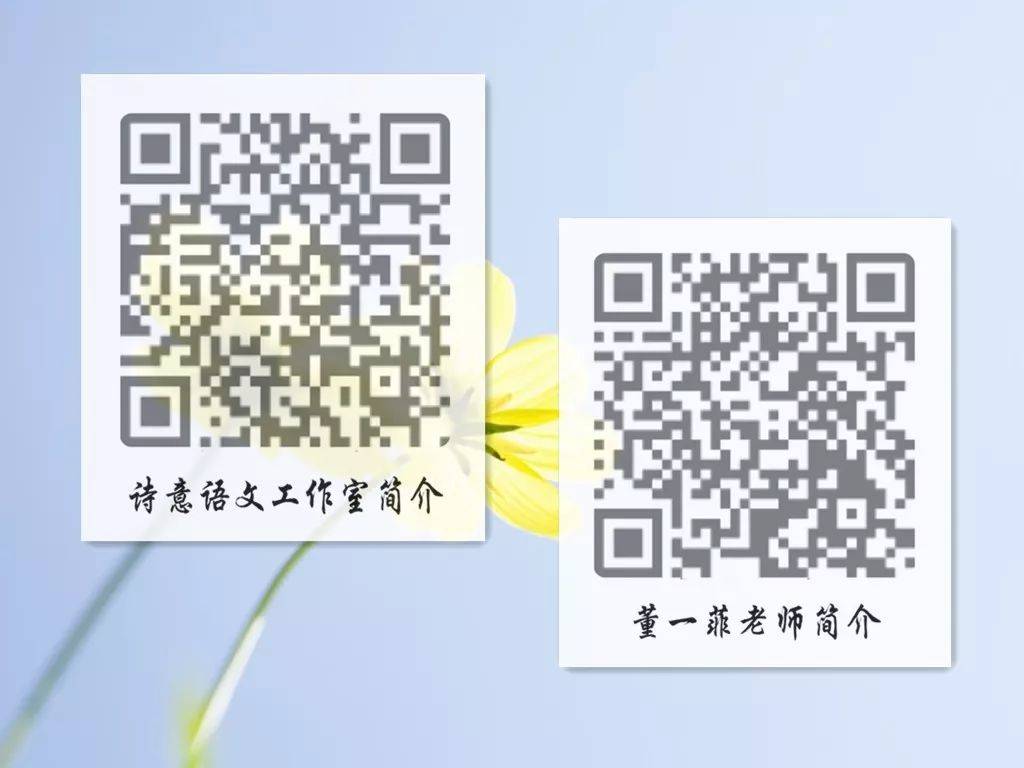 一碼一肖一特一，揭秘背后的秘密與獨特之處，揭秘一碼一肖一特一的獨特之處與背后秘密