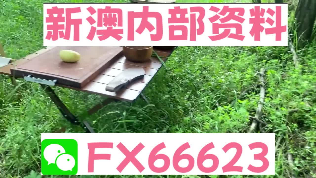 新奧特碼走勢(shì)圖解析與預(yù)測，新奧特碼走勢(shì)圖解析與預(yù)測，未來趨勢(shì)探討