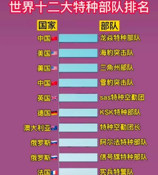中國十大王牌特種部隊(duì)，實(shí)力與榮耀的象征，中國十大王牌特種部隊(duì)，實(shí)力與榮耀的巔峰標(biāo)志