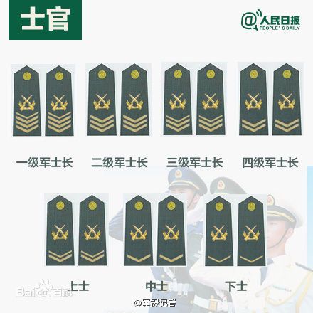 全球各國(guó)軍士長(zhǎng)軍銜對(duì)照表及其重要性，全球各國(guó)軍士長(zhǎng)軍銜對(duì)照表，揭示其重要性