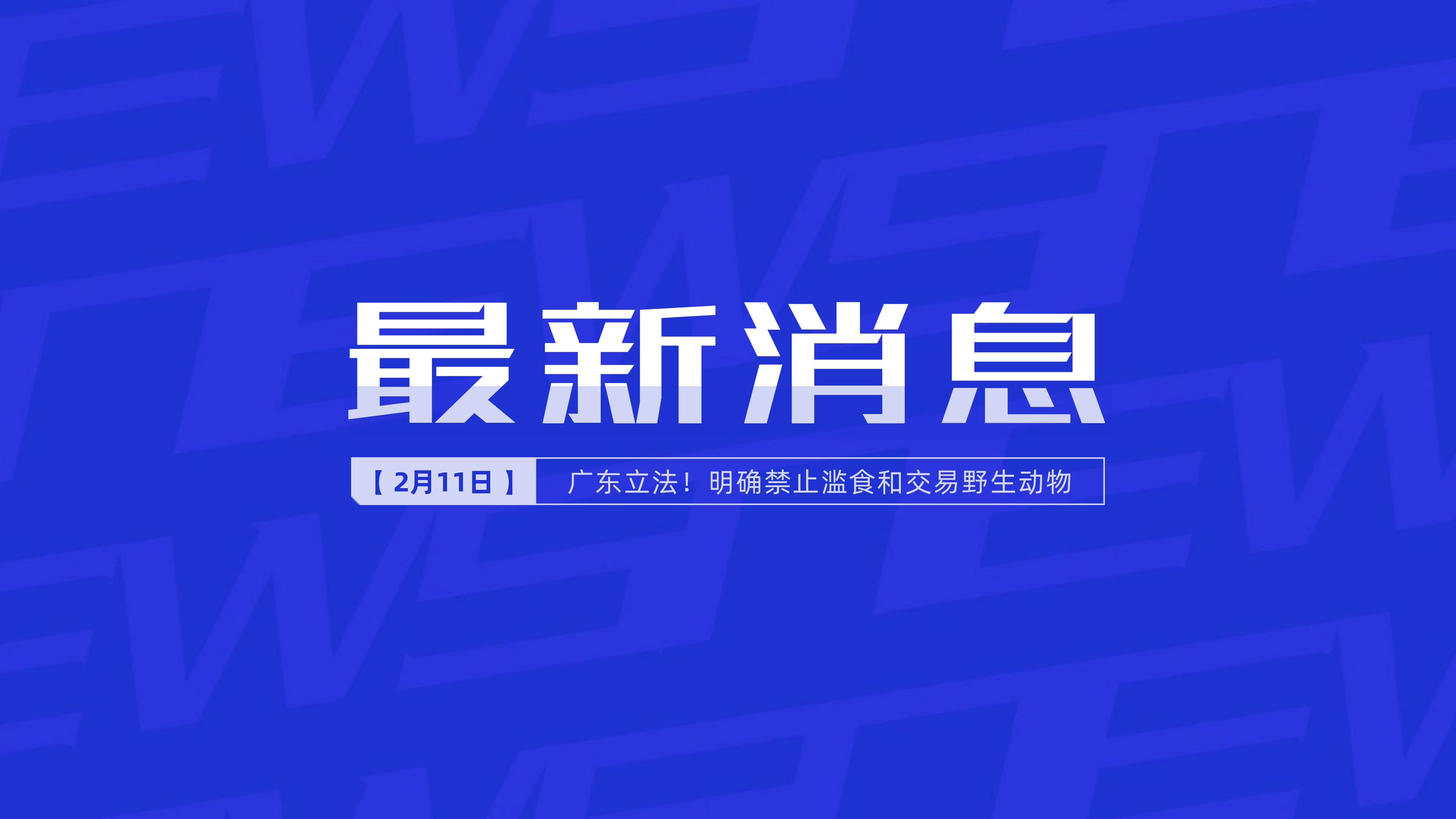 新聞最新新聞，掌握時(shí)事熱點(diǎn)，洞悉世界動(dòng)態(tài)，時(shí)事熱點(diǎn)速遞，掌握全球最新動(dòng)態(tài)新聞