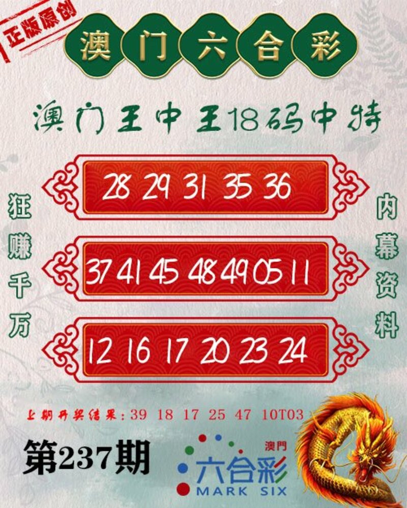 新澳門王中王期期中，探索與解析，新澳門王中王期期中，深度探索與解析