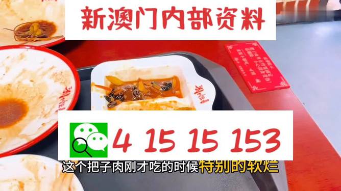 澳門王中王六碼新澳門，探索與解析，澳門王中王六碼新澳門，深度探索與解析