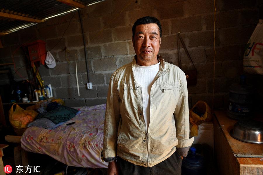 博科圣地組織，深度解析與理解，博科圣地組織深度解析與探究