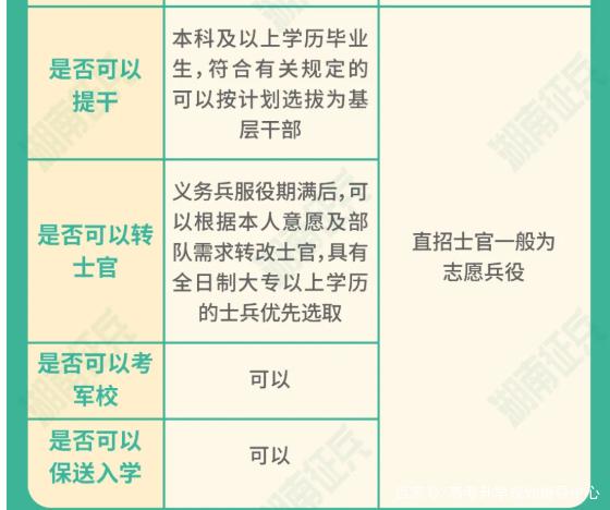 士官直招與義務兵的區(qū)別，深入了解軍隊招募制度，直招士官與義務兵招募制度深度解析，軍隊招募制度詳解
