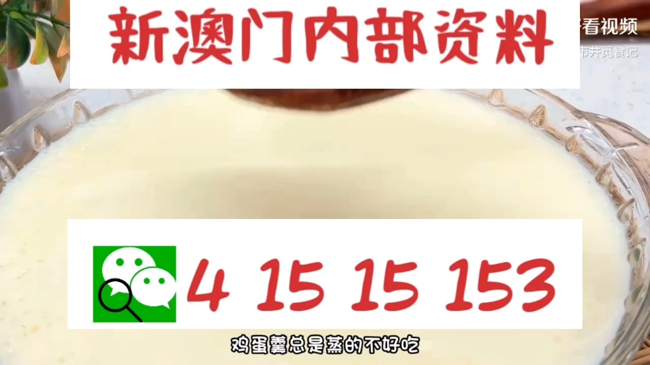 新澳門中特網(wǎng)中特馬，探索與解析，澳門中特馬探索與解析指南