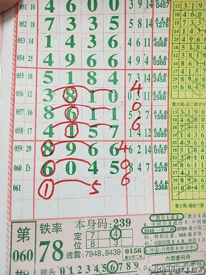 平特肖推算法，探索搜索引擎優(yōu)化的新境界，平特肖推算法，開啟搜索引擎優(yōu)化新境界的探索之旅