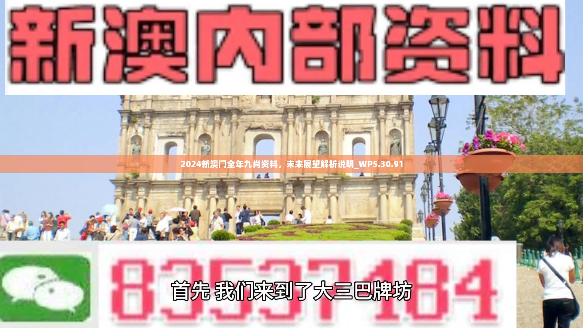 新澳門精準(zhǔn)九肖，揭秘預(yù)測(cè)技巧與策略，揭秘新澳門精準(zhǔn)九肖預(yù)測(cè)技巧與策略