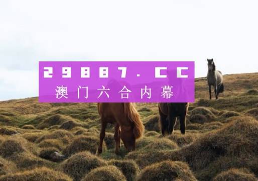 今晚新澳門開獎結(jié)果查詢9——全面解析最新開獎動態(tài)，新澳門開獎結(jié)果查詢，最新動態(tài)全面解析
