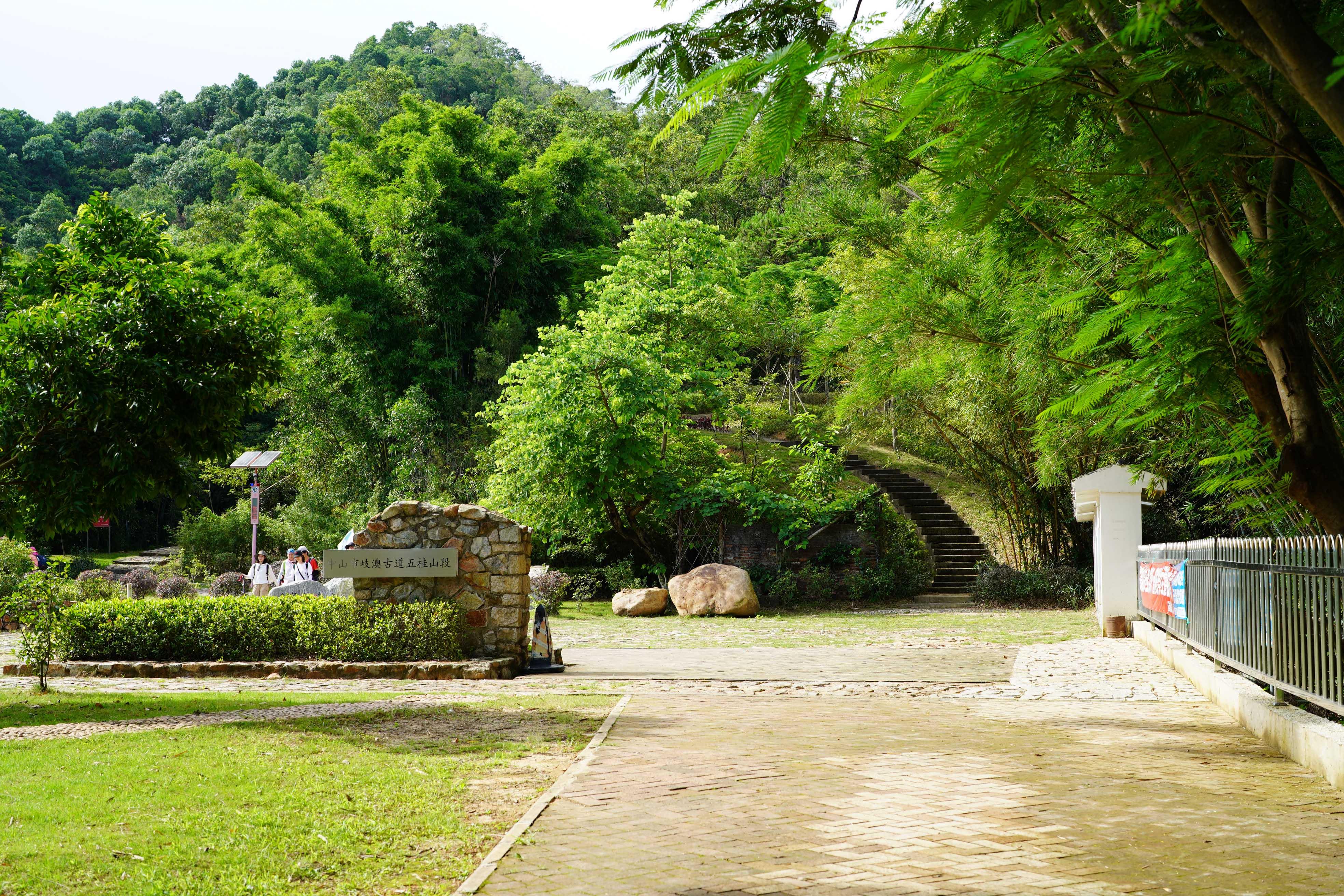 新澳門(mén)波色走勢(shì)圖表大全，深度解析與預(yù)測(cè)，澳門(mén)波色走勢(shì)圖表解析與預(yù)測(cè)大全