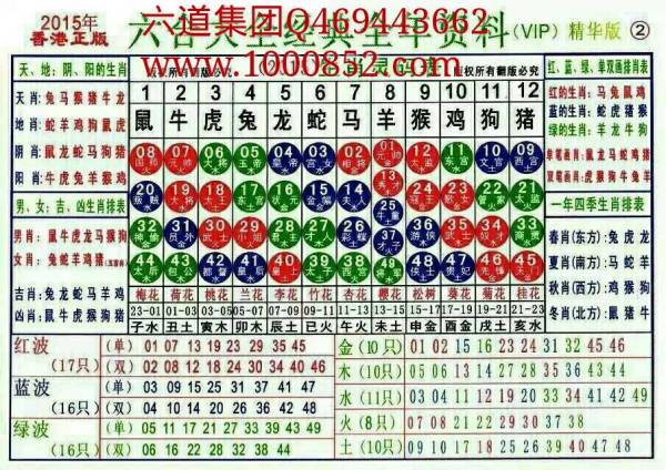 揭秘2024十二生肖49碼表——完整指南，揭秘十二生肖49碼表全攻略，2024年最新版指南