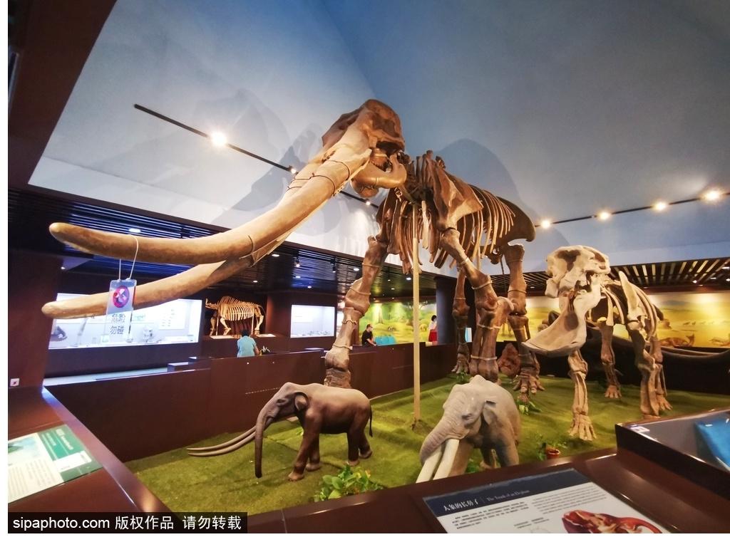 北京必去的十大博物館——探尋千年文化的精華之旅，北京必游十大博物館，千年文化精華之旅探尋記
