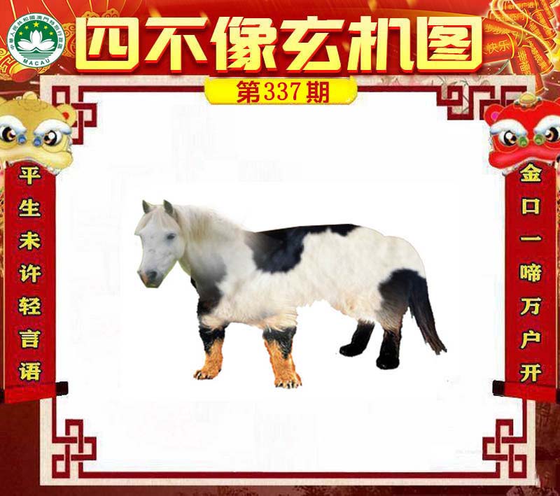 王中王四不像肖一肖中特，探索神秘現(xiàn)象背后的真相，神秘現(xiàn)象背后的真相探索，王中王四不像肖一肖中特揭秘