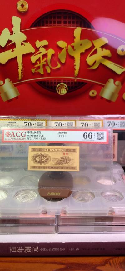 老牌王中王揭秘，公開一肖的神秘面紗，老牌王中王揭秘，揭開神秘生肖的面紗