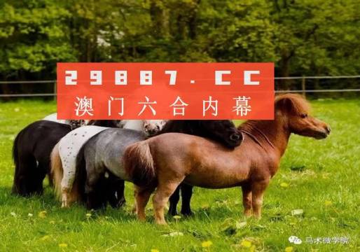 王中王四不像正版一肖中特圖，揭秘背后的秘密與獨(dú)特魅力，揭秘王中王四不像正版一肖中特圖的獨(dú)特魅力和背后秘密