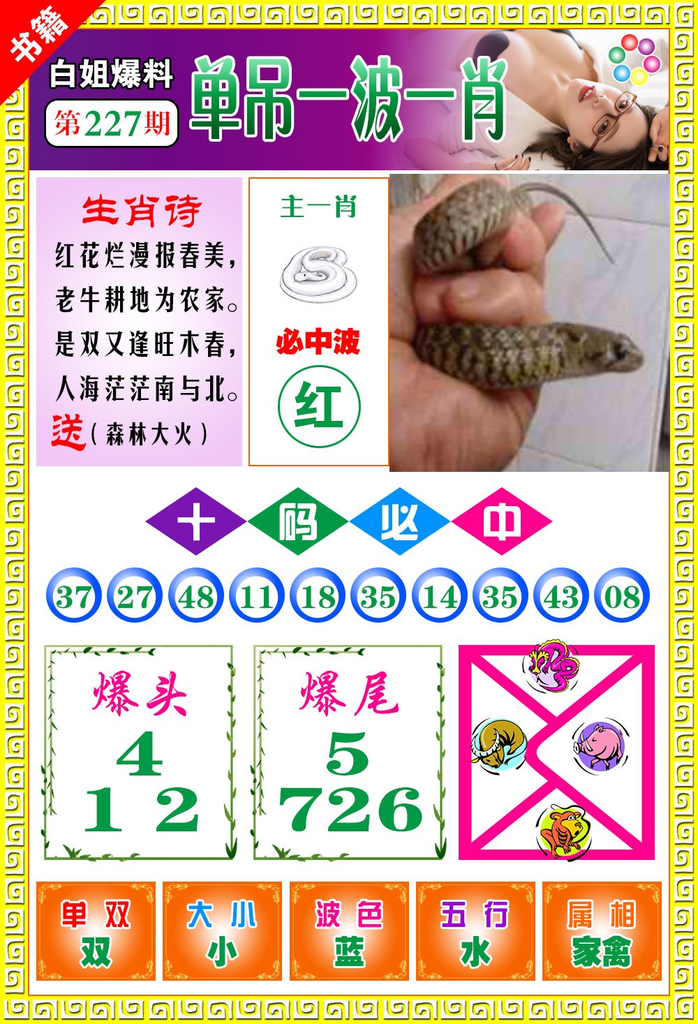 王中王100期期一肖，深度解析與SEO優(yōu)化策略，王中王100期期一肖深度解析與SEO策略全解析