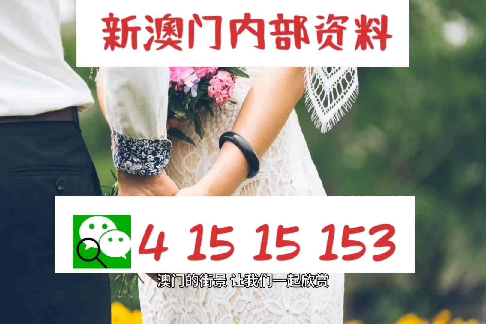 新澳正版資料免費提供，全面解析與深度探索，新澳正版資料全面解析與深度探索，免費提供的指南