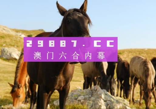 澳門(mén)49圖庫(kù)下載安裝綠色，全面指南與優(yōu)勢(shì)解析，澳門(mén)49圖庫(kù)下載安裝綠色版，全面指南與優(yōu)勢(shì)深度解析