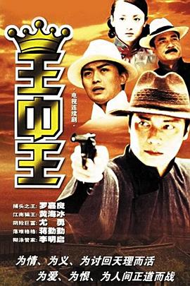 王中王中資料解析