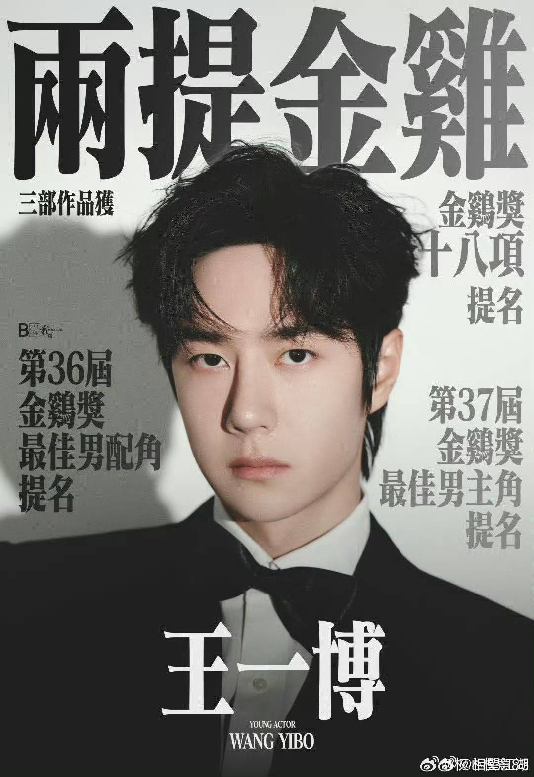 王中王一肖中特論特，深度解析與SEO洞察，深度解析王中王一肖中特論特與SEO洞察