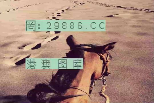 香港特馬資料王中王