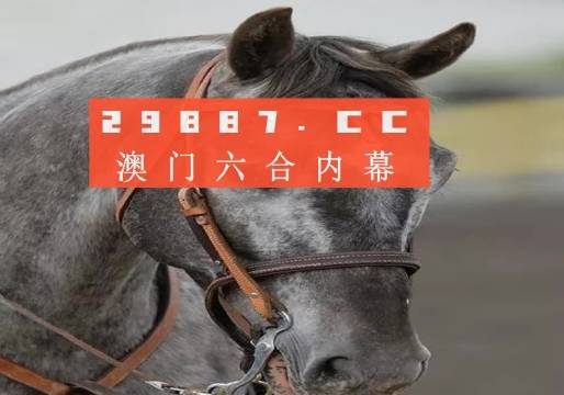 今晚澳門(mén)精準(zhǔn)一肖一馬預(yù)測(cè)，揭秘生肖與馬匹的神秘聯(lián)系，揭秘生肖與馬匹的神秘聯(lián)系，澳門(mén)精準(zhǔn)一肖一馬預(yù)測(cè)今晚揭曉