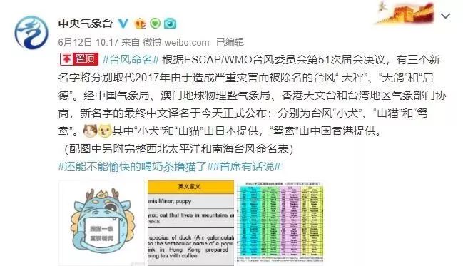 新澳門必中三肖三碼三期必開劉伯，揭秘彩票背后的秘密與策略，揭秘彩票背后的秘密與策略，劉伯的新澳門三期必開三肖三碼預測技巧
