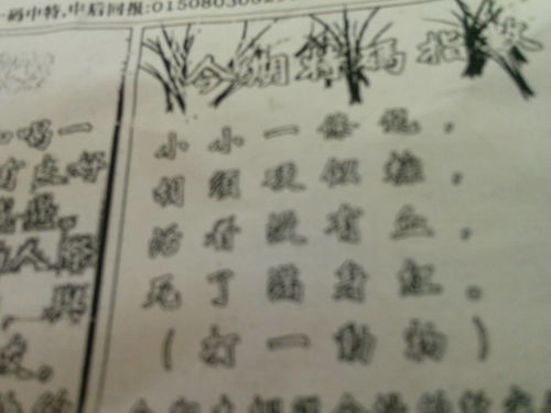劉伯溫特一肖王中王，傳奇人物與生肖之王的神秘結(jié)合，劉伯溫生肖傳奇，傳奇人物與生肖之王的神秘交融