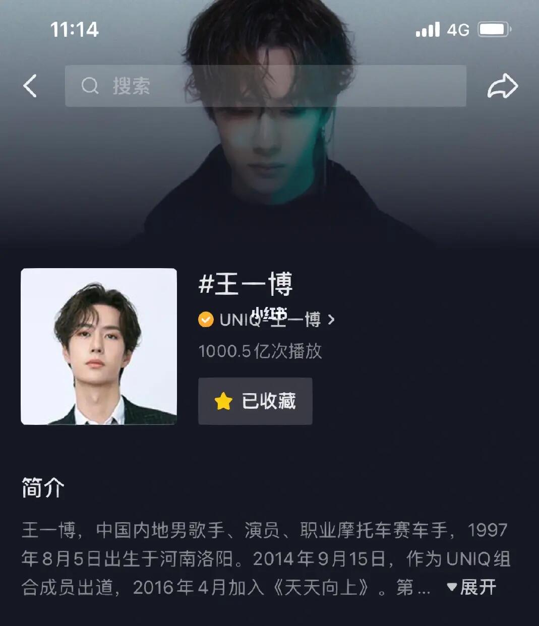 王中王一肖內(nèi)部資料詳解，王中王一肖內(nèi)部資料深度解析